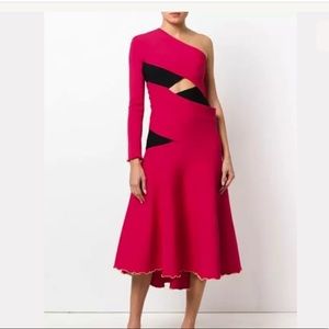 Proenza Schouler Asymmetric flared midi dress sz M